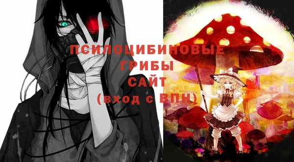 мдпв Лабытнанги