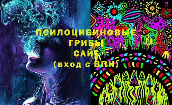 прущие крисы Ладушкин