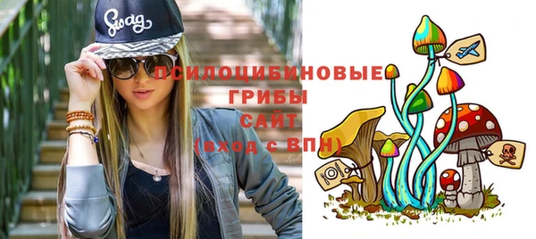 spice Лагань