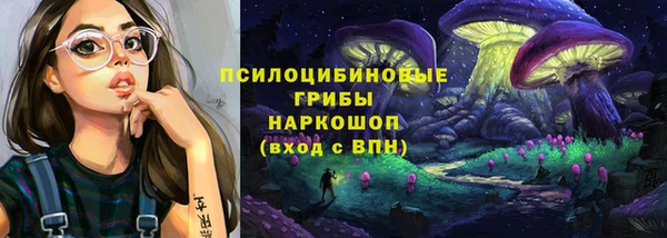 spice Лагань