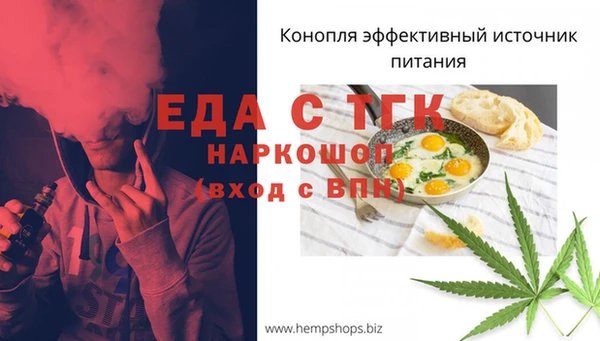 spice Лагань