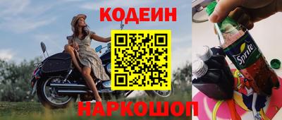стаф Гай