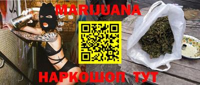 стаф Гай