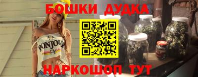 стаф Гай