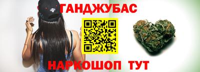 стаф Гай