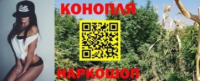 прущие грибы Волжск