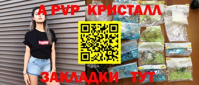 стаф Гай