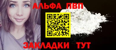 стаф Гай