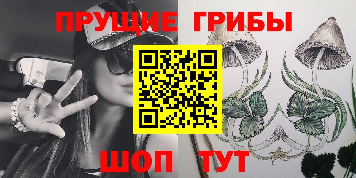 Челябинск  Псилоцибиновые грибы Psilocybe  Вход с VPN 
