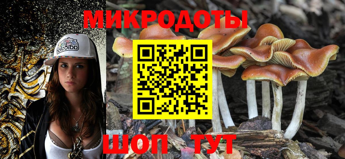 МЕФ Челябинск