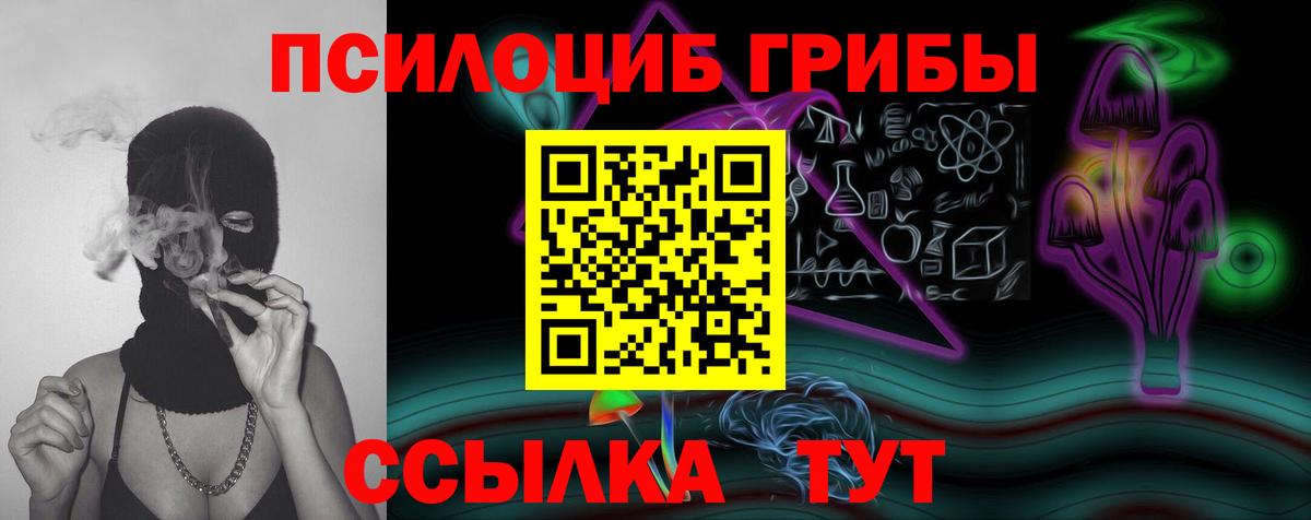 Псилоцибиновые грибы Cubensis Челябинск