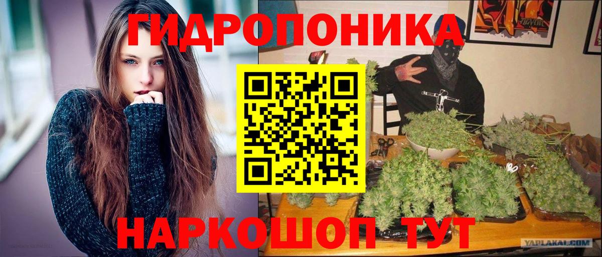 Канабис семена  Челябинск  Канабис сатива 